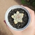 Echeveria Panda