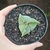 Astrophytum Nudum x Myriostigma 3k