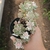 Echeveria Sigrid Variegata