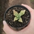 Faucaria Lupina Variegata