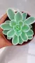 Echev Lemon Lime Variegada P09 - comprar online