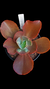 Gibbiflora Magic Lamp P15 na internet