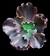 Echeveria Gibbiflora POWAY P15 na internet