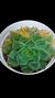 Echeveria Bibiana P09 - comprar online