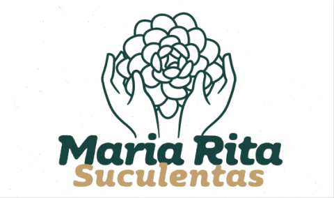 Maria Rita Suculentas