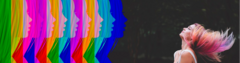 Banner de la categoría Tintura