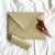 Pasta Envelope na internet