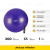 Pelota 65cm + inflador Pilates Yoga Esferodinamia Reforzada PROYEC 149 - SAFIT 
