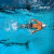 Bermuda Natación Safit 7135 + Antiparra + Gorro Tela