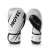 Guantes Boxeo PROYEC King en internet