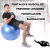 Pelota Esferodinamia 85cm Reforzada 17846 - tienda online
