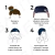 Set Pool Arena Gorro Silicona + Antiparra - comprar online