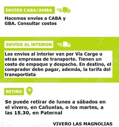 Mandarina Encore- Plantas injertadas- en internet