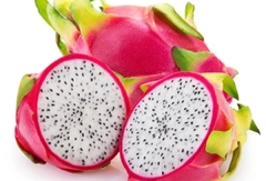 Pitahaya, fruto del dragón, cultivo orgánico