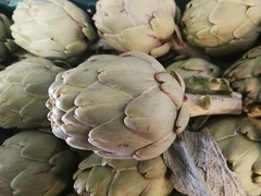 Plantas Orgánicas De Alcaucil - comprar online