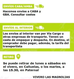 Crataegus - Ideal Para La Formación De Cercos Vivos - tienda online