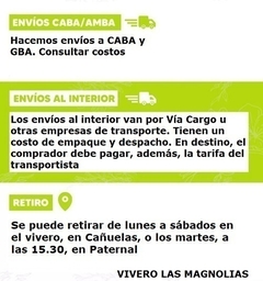 Naranja Salustiana, De Jugo - Plantas Certificadas en internet
