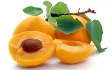 Damasco Royal - primera calidad