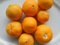 Limón paraguayo - Lima de Cantón - comprar online