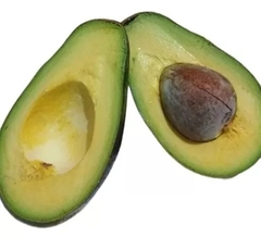 Árbol De Palta Torres Injertados - Calidad De Exportación