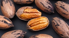 Árbol De Pecan De 5 Años - 2 Metros - comprar online