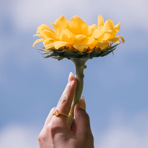 Anel Pétala Girassol - comprar online