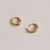 Imagem do Argola Delicate
