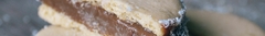 Banner de la categoría Alfajores 