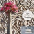 Kit 10 sementes sementes Somalense Big Size - BIG SIZE