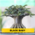 Arabicum Black Baby - Black Skin na internet