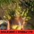 Sementes Arabicum Rara - Boar DDC + Omega 1 F2 - Somrak - comprar online