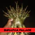 Sementes Arabicum Rara - Burapha Palace - Somrak - comprar online
