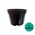 Kit com 30 vasos PT-11