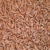 Kit com 50 sementes de flor simples na cor rosa para produção de cavalos para enxertia - comprar online