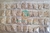 Kit com 500 sementes de flor simples na cor rosa para produção de cavalos para enxertia - RD Garden Center | Rosas do Deserto e Flor do Deserto