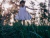 Vestido AMAPOLA - Greenbox