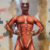 Fantasia Titã Shingeki no Kyojin Traje Profissional Adulto na internet