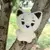 Pelúcias ENHYPEN Mascotes K-Pop (vários modelos) - comprar online