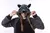Pijamas Raccoon /Guaxinim Kigurumi Adulto - loja online