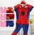 Pijama Sapo Kigurumi Adulto - comprar online
