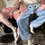 Imagem do Calça Pijama Elefante (2 cores)