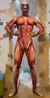 Fantasia Titã Shingeki no Kyojin Traje Profissional Adulto na internet