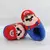 Imagem do Pantufa Super Mario Bros / Luigi