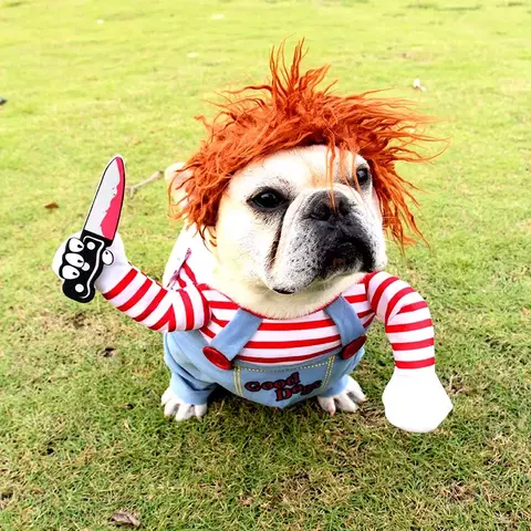 Roupa Cachorro Chucky (Porte Pequeno)