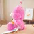 Imagem do Pelúcia Happy Birthday - Ursinhos Carinhosos (Care Bears)