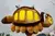 Pelúcia Catbus Ônibus Meu Amigo Totoro Studio Ghibli na internet