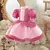 Vestidos Princesas da Disney Recém-nascido Luxo (Vários Modelos)