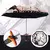 Guarda-chuva Kimetsu no Yaiba Anime Demon Slayer (vários modelos) - Quarto Geek Store - Loja de Presentes Criativos, Nerd, Geek e Cultura Pop