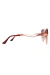 Óculos de Sol Lauren Marrom Casco c/ Marrom Degradê (Feminino) - Malibu Glasses