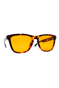 Óculos de Sol Summer Marrom Casco c/ Dourado Translúcido (Unissex) - comprar online